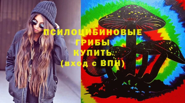 тгк Алексин