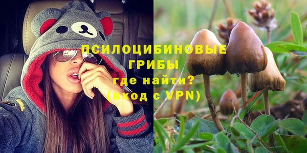 a pvp Алзамай